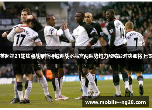 英超第21轮焦点战莱斯特城迎战水晶宫两队势均力敌精彩对决即将上演 英超第21轮焦点战莱斯特城迎战水晶宫两队势均力敌精彩对决即将上演