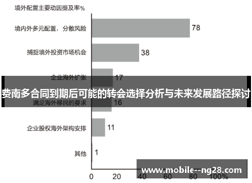 费南多合同到期后可能的转会选择分析与未来发展路径探讨 费南多合同到期后可能的转会选择分析与未来发展路径探讨