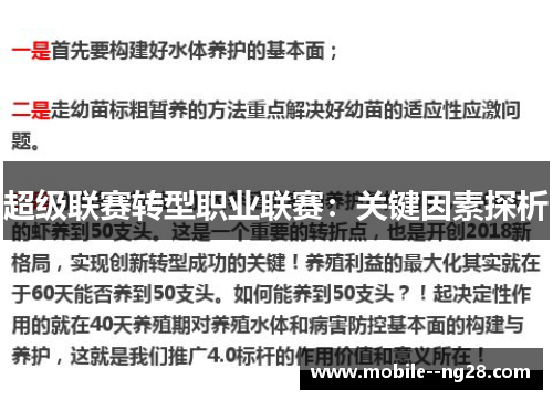 超级联赛转型职业联赛：关键因素探析