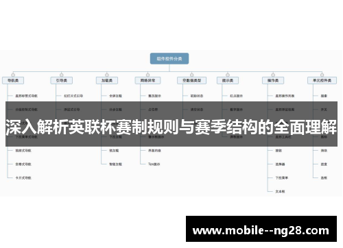 深入解析英联杯赛制规则与赛季结构的全面理解