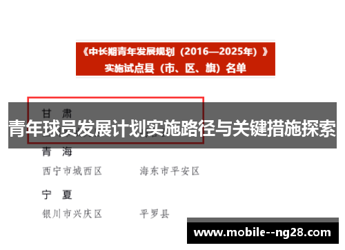 青年球员发展计划实施路径与关键措施探索 青年球员发展计划实施路径与关键措施探索