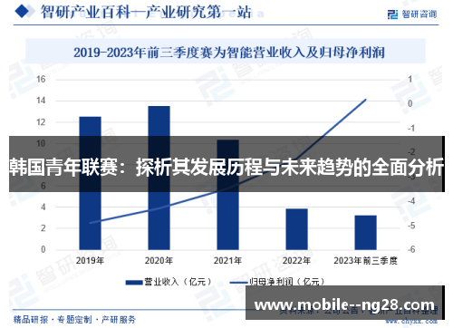 韩国青年联赛：探析其发展历程与未来趋势的全面分析