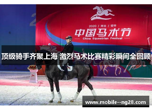 顶级骑手齐聚上海 激烈马术比赛精彩瞬间全回顾 顶级骑手齐聚上海 激烈马术比赛精彩瞬间全回顾
