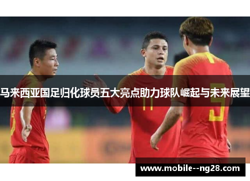 马来西亚国足归化球员五大亮点助力球队崛起与未来展望 马来西亚国足归化球员五大亮点助力球队崛起与未来展望