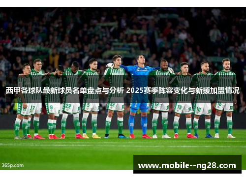 西甲各球队最新球员名单盘点与分析 2025赛季阵容变化与新援加盟情况 西甲各球队最新球员名单盘点与分析 2025赛季阵容变化与新援加盟情况