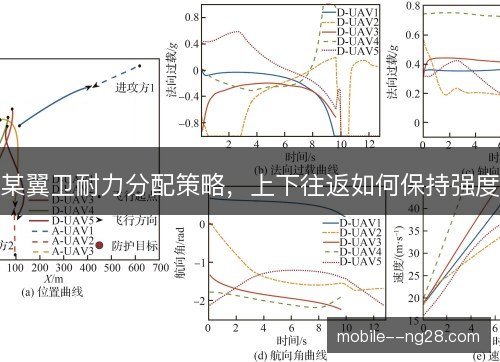 某翼卫耐力分配策略，上下往返如何保持强度